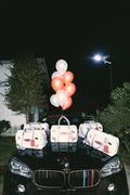BAG AIRPORT